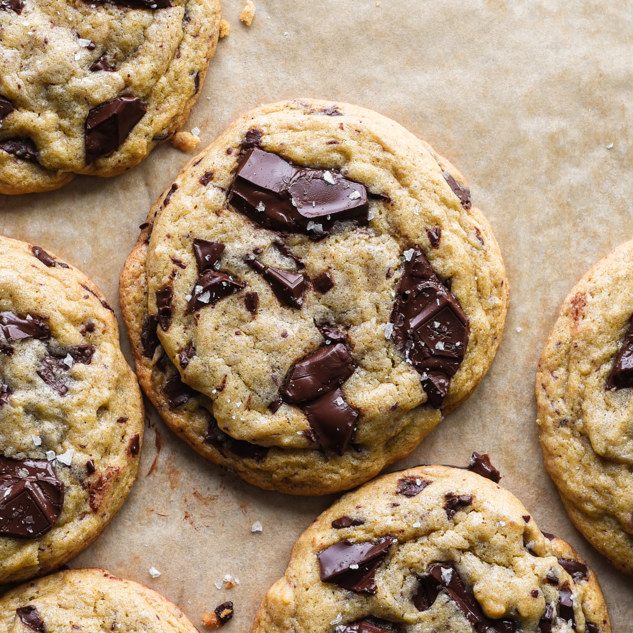 Dozen Chocolate Chunk Cookies